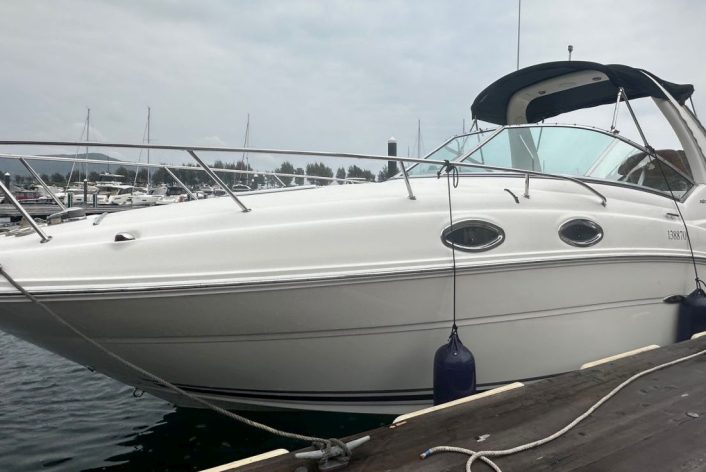 Sea Ray 260 Sundancer - Sea Ray 260 Sundancer 007